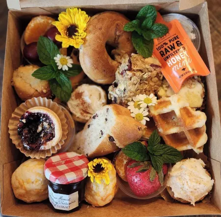 Timberline Glamping Cheaha