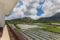 Teras Sawah Guest House Syariah Hotels in Sembalun