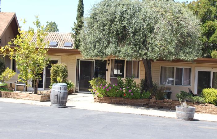 Little European Lodge