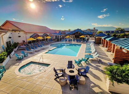 Margaritaville Island Hotel