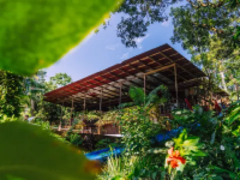 Bambuda Lodge Hotels in Bastimento