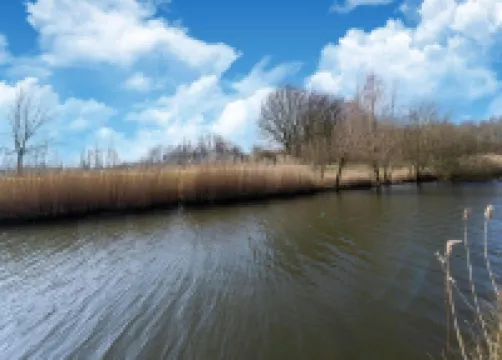 Bungalow in South Holland With Private Jetty
