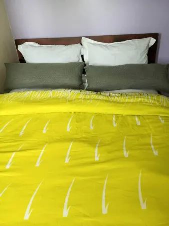 Remarkable 1 Bedroom Flat in Bonaberie Ancienne