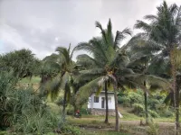 G Land Backpacker Hotels in Genteng