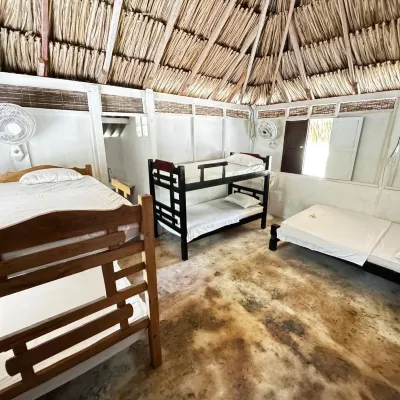 Eco Hotel Bosque Encantado Hotels near Rosario Islands