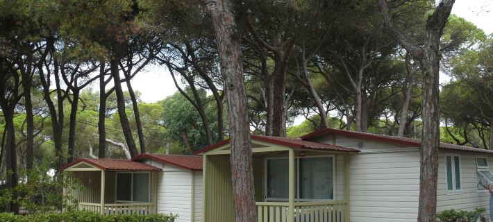 Parque de Campismo Orbitur Costa de Caparica Các khách sạn ở Almada