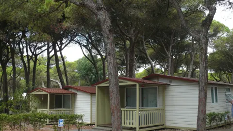 Parque de Campismo Orbitur Costa de Caparica in Almada