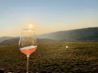 Gasthof Rebland Hotels in Malterdingen