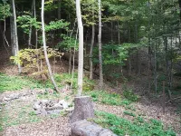 Charming  Cottage In The Catskills. Ski, Golf, Hike, Bike And More. Hotels in Middletown