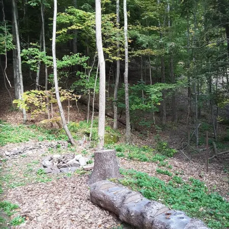 Charming  Cottage In The Catskills. Ski, Golf, Hike, Bike And More.
