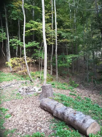 Charming  Cottage In The Catskills. Ski, Golf, Hike, Bike And More.