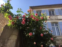 Very comfortable independent studio of 30 m2, in a 19th century presbytery. Hotel a Tarascon