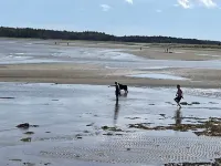 Very cozy quiet and rustic space on a lake.