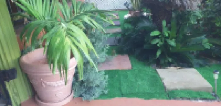 Hellshire king&queen beds 10 minutes walk from hellshire beach โรงแรมใน