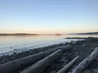 Right off Main Street, near delicious bakeries and more.10 minute walk to beach! Hotels in Ladysmith