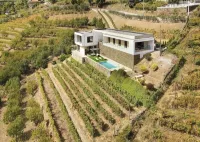 Villa with pool in the Douro Valley