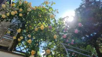 Comfortable and cozy vacation apartment in Waiblingen near Stuttgart Hotels near Galerie Stihl