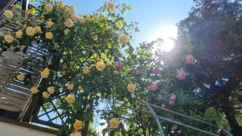 Comfortable and cozy vacation apartment in Waiblingen near Stuttgart Hotels in Waiblingen