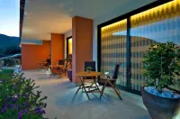 6 bedrooms/suites, infinity pool, gymnasium, gardens, barbecue - Douro Valley