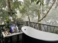 Coastal elegance in a decorator villa overlooking the Whale's Tail