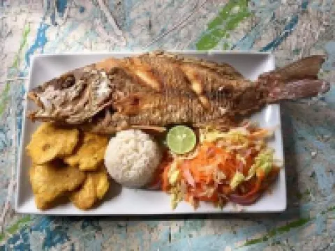 Posada Puerta del Sol Hotels in 