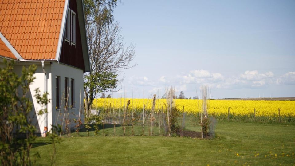 Hobykrok B&B