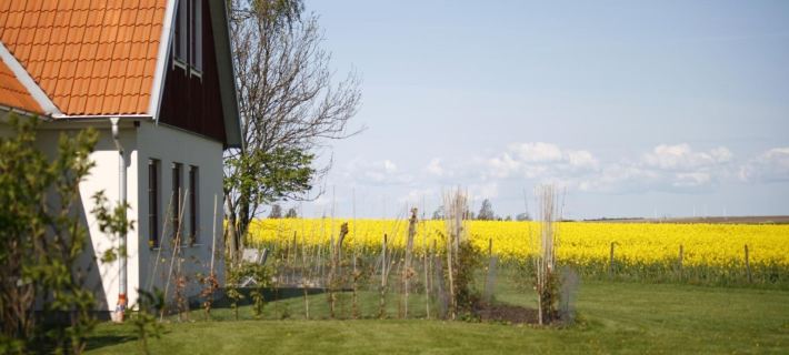 Hobykrok B&B Hotels in Lund