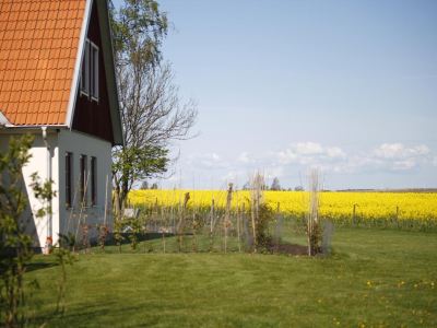Hobykrok B&B