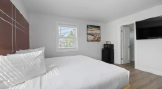 Safari Apartments