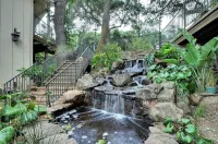 Saratoga Oaks Lodge Hotels in Saratoga