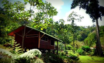 Mei Tai Cacao Lodge