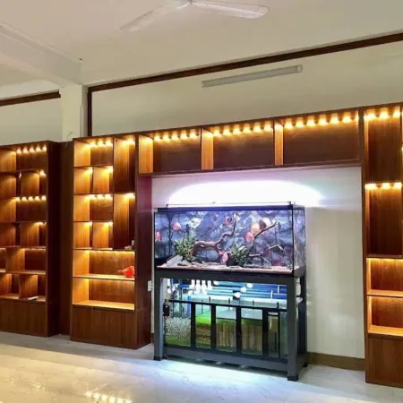 Catimor Hotel - Sam Son
