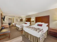 Best Western Alamo Suites Hotels near Ojeda Park
