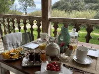 Le Clos des Sept Palmiers Hotels in Cavalaire-sur-Mer
