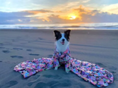 Yilan Hibnb Guesthouse