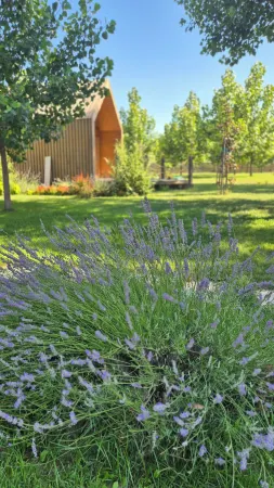 Ritopia Glamping Отели в г. Сремски Карловци