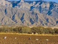 Charming Corrales Casita Hotels in Corrales