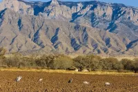 Charming Corrales Casita Hotels in Corrales