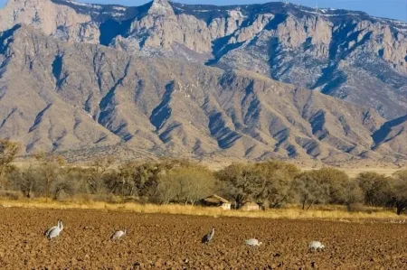 Charming Corrales Casita Отели в г. Корралес