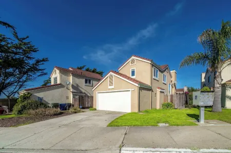 Succulents & Seashells Coastal Paradise by Beach