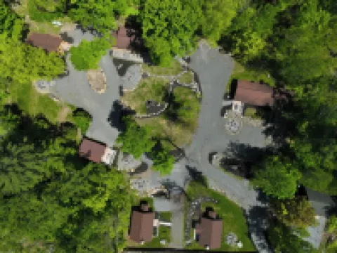 Walk to Beach - Pet friendly Cabin w/ Workspace