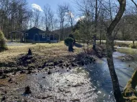Creekside Cottage Near Nashville- Pet Friendly! Hotels in Cheatham County