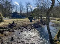 Creekside Cottage Near Nashville- Pet Friendly! Hotels in Cheatham County