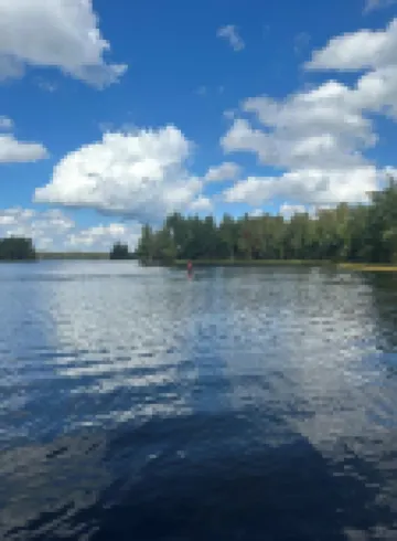 Total privacy, private beach, one of a kind full log home