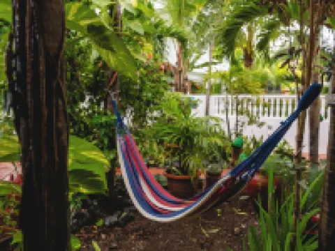 Coconut Palms Inn Hotels in Rincon