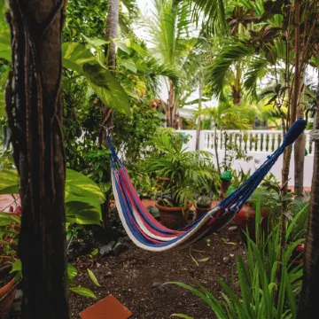Coconut Palms Inn