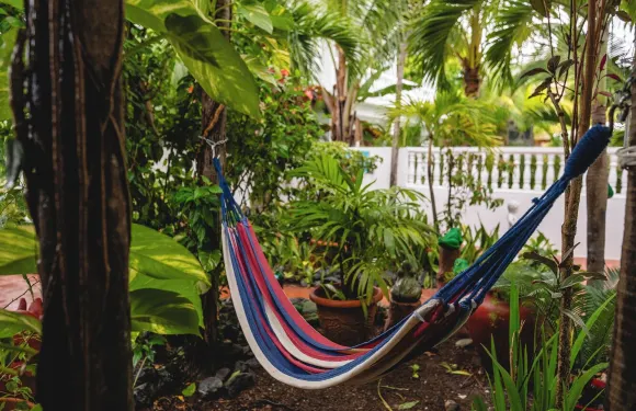 椰子棕櫚樹旅館