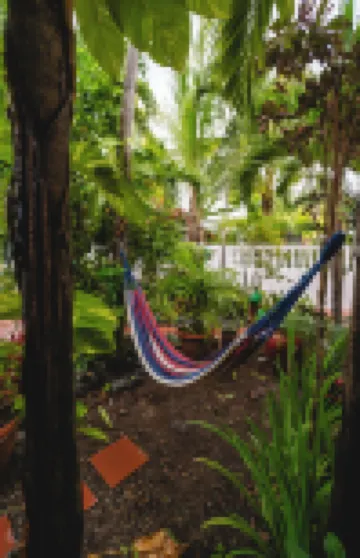 Coconut Palms Inn