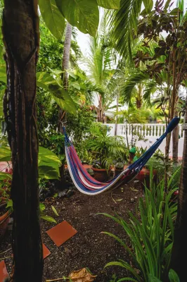 Coconut Palms Inn
