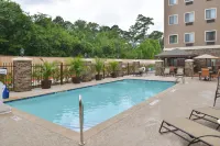 Staybridge Suites TOMBALL - SPRING AREA by IHG - Pools